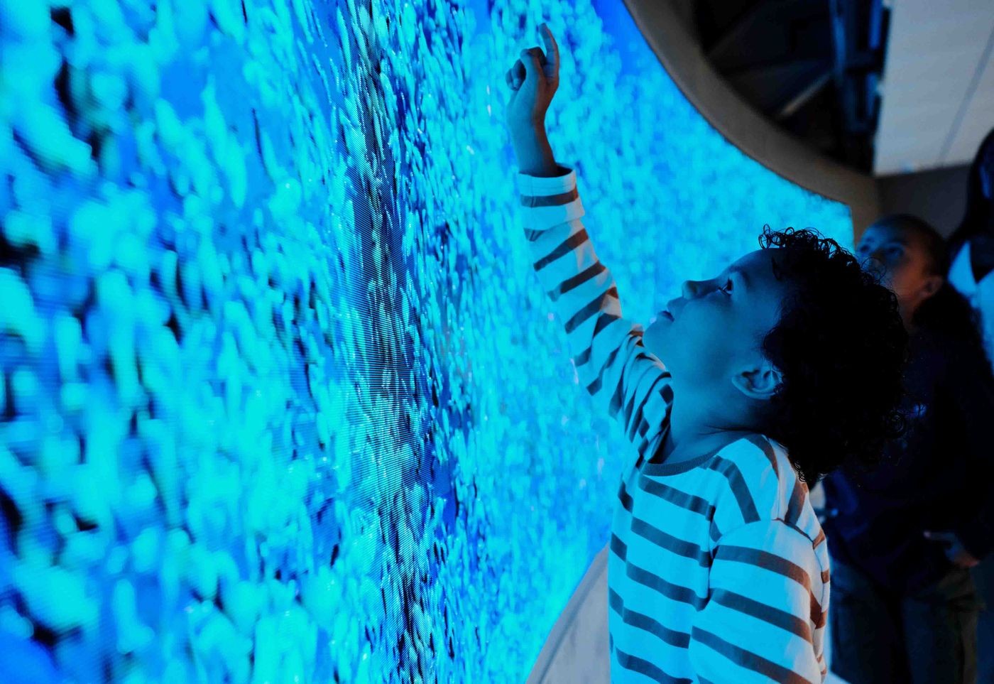 An eye-catching landscape of green.